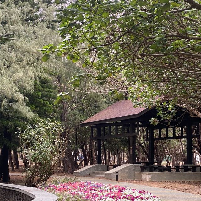 湖西鄉林投村林投公園