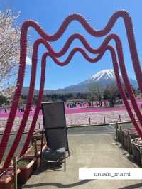 【山梨】富士山と桜が同時に見れる「富士芝桜まつり」🗻🌸