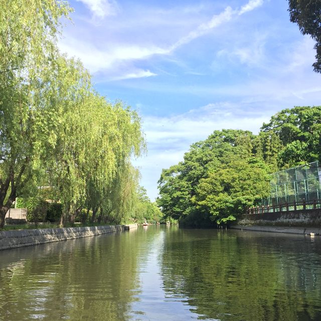 福岡柳川🇯🇵泛舟🚣必吃鰻魚飯💯