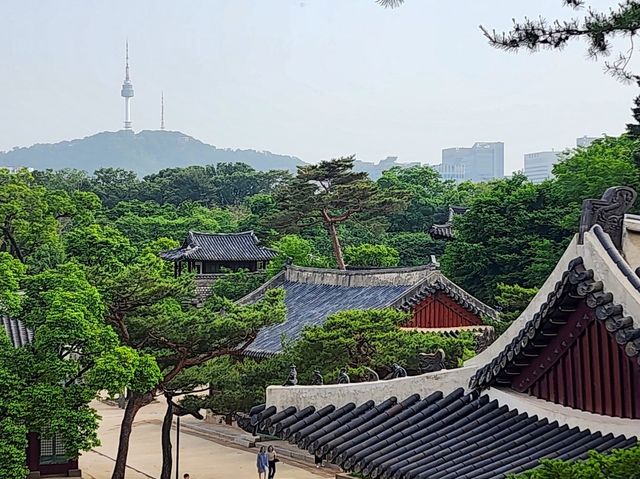  [창경궁]  서울 도심 속 고궁 나들이