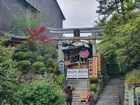 Kiyomizu-dera Temple | Kyoto Japan🇯🇵