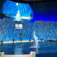 珠海長隆海洋王國之海洋動物
