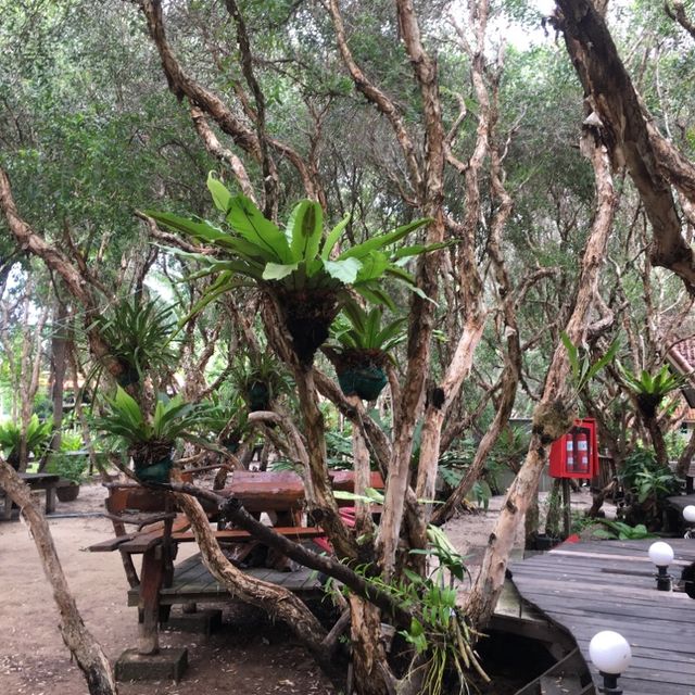 Relaxing Resort