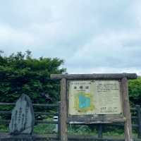 【ペットとお出かけ】本栖湖をぶらりお散歩！