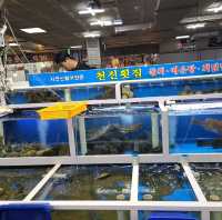 속초 수산시장 천진횟집!