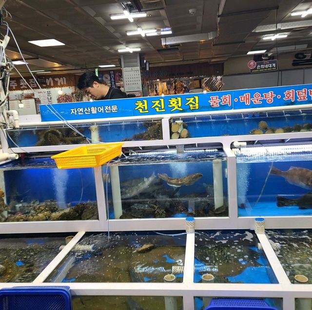 속초 수산시장 천진횟집!