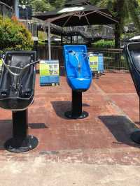 聖淘沙必玩😝 Skyline Luge Sentosa🙈親子遊活動推介❤️❤️