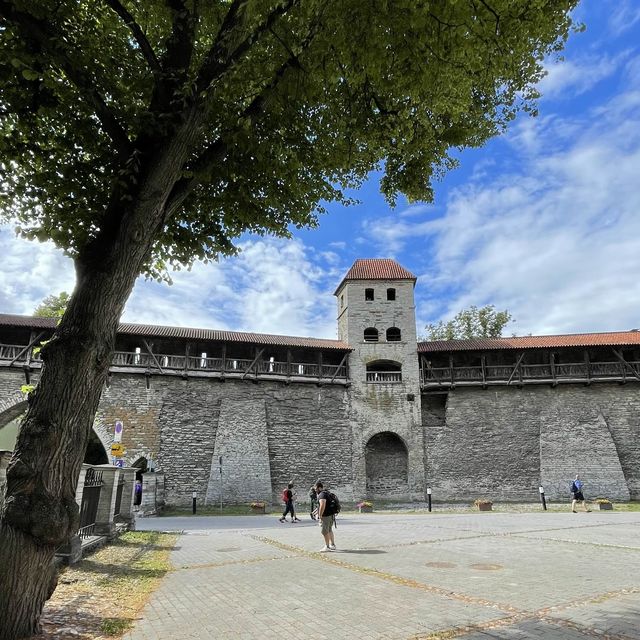 Tales from Tallinn Old Town