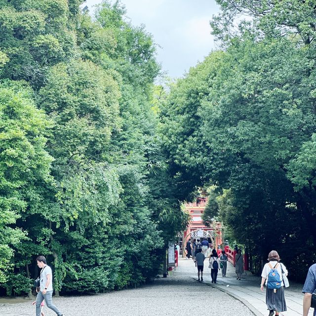 日本一長い参道@氷川神社