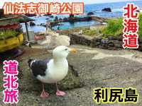 北海道　北海道観光　利尻島の絶対外せない観光スポット 仙法志御崎公園でアザラシに会ってきた！