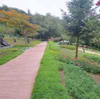 韓國景點📸峨嵯山生態公園😊親親大自然體驗日🌤