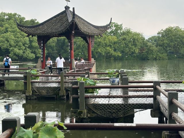หน้าฝน คนเหงา ล่องเรือไปเกาะกลางทะเลสาบซีหู