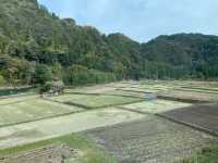 坐「由布院之森」列車暢遊九洲由布院