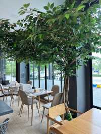 Slowly Mama Coffee Space บรรยากาศสุดชิว🌿