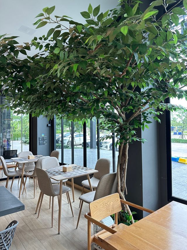Slowly Mama Coffee Space บรรยากาศสุดชิว🌿