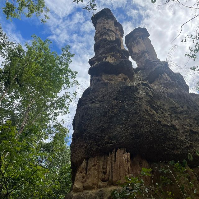 🌿⛰️เดินชมความสวยงามของธรรมชาติที่ผาช่อ🌴🌿