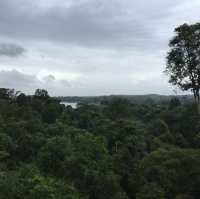 星加坡另類體驗🌲麥裏芝自然步道