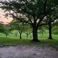 【福岡／春日】のんびり散歩するにはこの公園