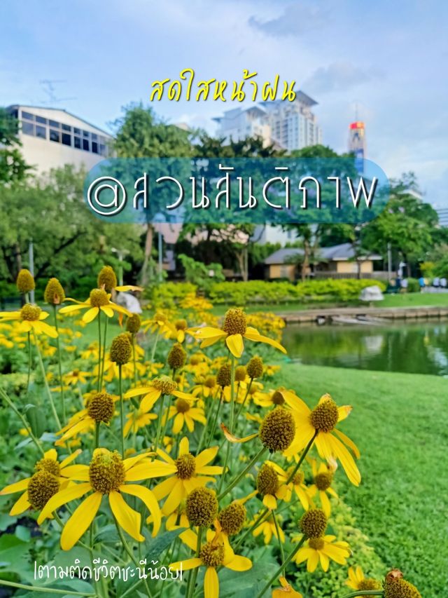 สวนสันติภาพ สวนกลางกรุงสำหรับออกกำลังกาย 