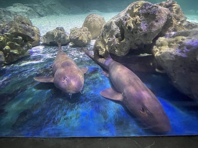 Underwater World@Langkawi