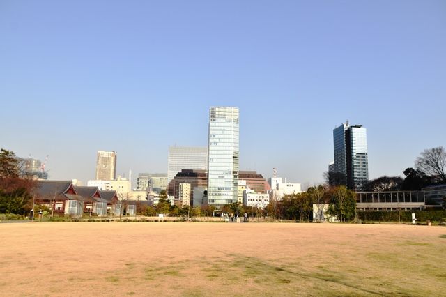 도쿄타워 뷰맛집 시바공원 芝公園