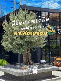  Cafe Amazon  สาขา สาขาเลียบคลองประปา