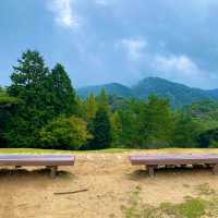 神戸市立六甲山牧場