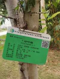 中醫的秘密🌿📚💫 廣東中醫藥博物館
