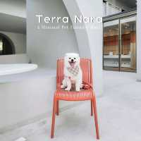 โรงแรม Pet Friendly สไตล์มินิมอล มู้ดดีเต็มสิบ!