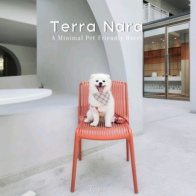 โรงแรม Pet Friendly สไตล์มินิมอล มู้ดดีเต็มสิบ!