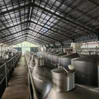 Enchanted Bali winery 