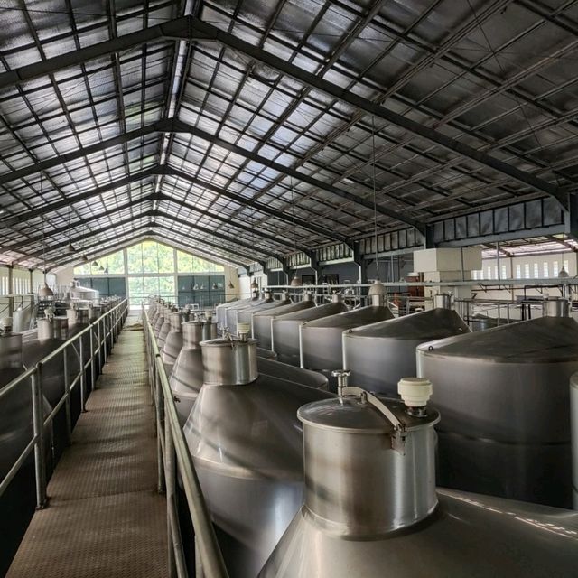 Enchanted Bali winery 