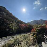 The Place with Eternal Autumn Foilage!