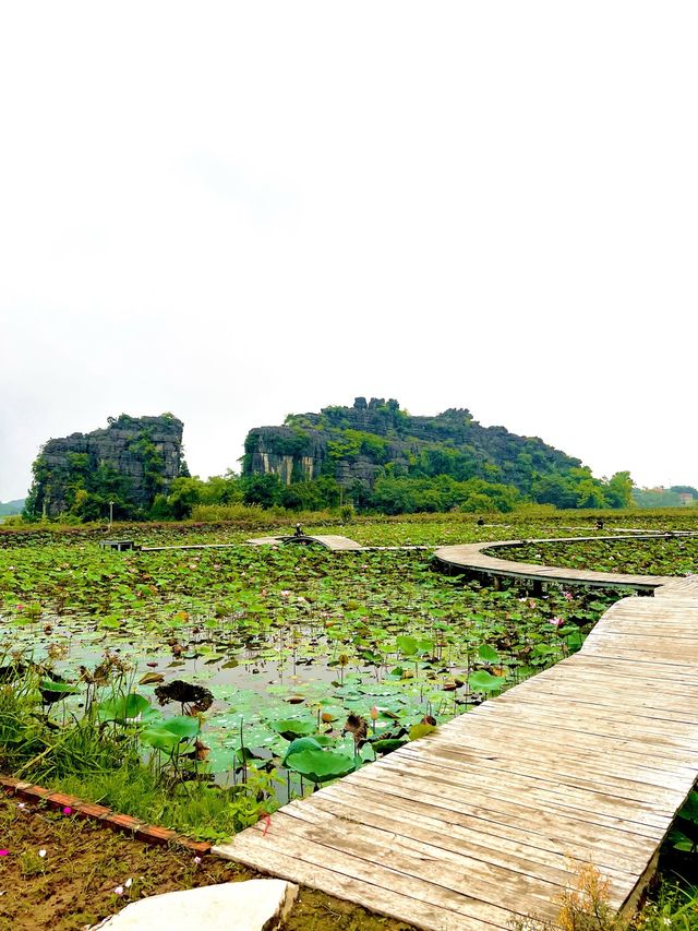 Visit The Highest Peak In Ninh Binh🇻🇳