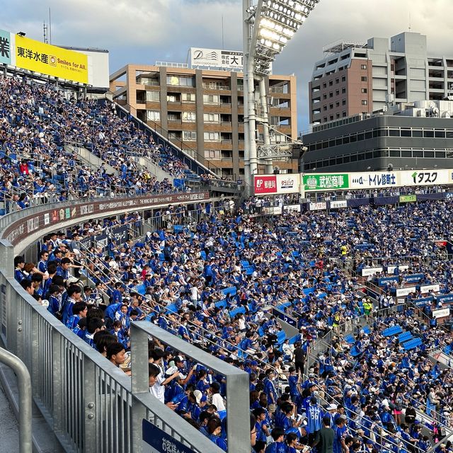 【神奈川】横浜スタジアムでの夏の一日、ベイスターズの輝き