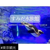 夜の東京デート/観光🍸🐠