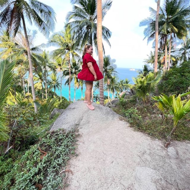 John Suwan View point 