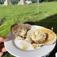 car camping車中泊好去處🦋白泥部落