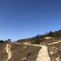 青馬美景步道