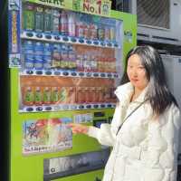 일본전통스타일을 느낄수 있는 현지인 관광지!🍵나리타 신쇼지 🇯🇵