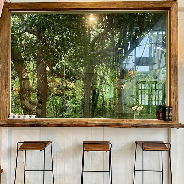 🌳☕️피톤치드 뿜뿜 “카페갤러리”