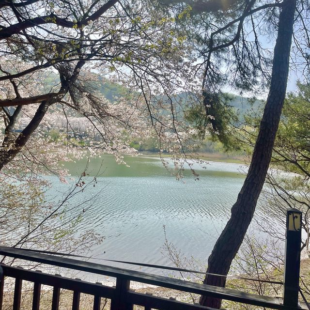 부산의 숨은 힐링장소 회동수원지 둘레길 황토숲길🌱🌸