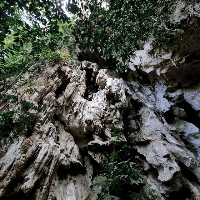 🌿ฟังเสียงธรรมชาติ : 🏞 ล่องแพ เขาสก