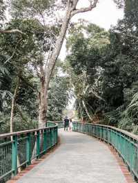 台灣飽覽美景之日月潭🍃