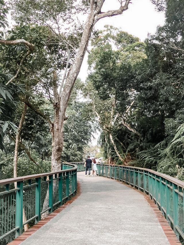台灣飽覽美景之日月潭🍃