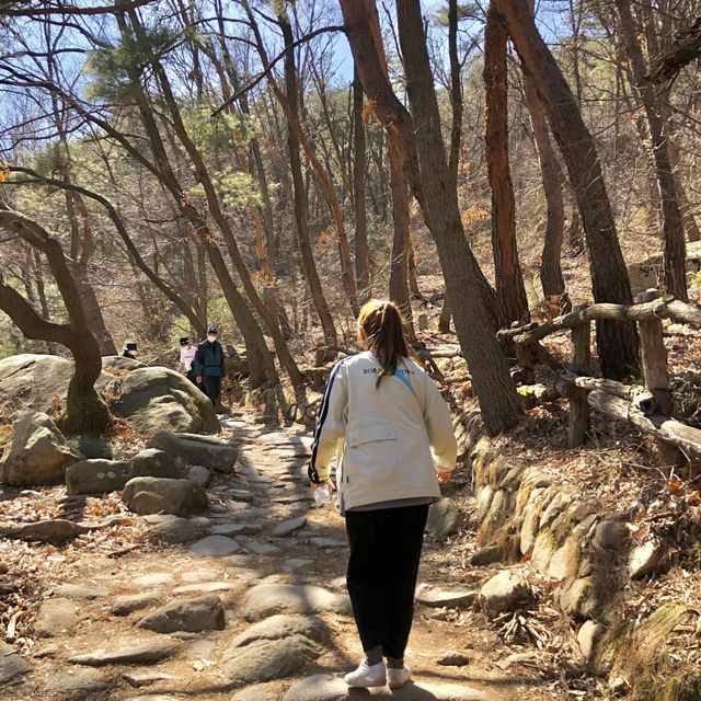 인생샷 찍고온 관악산 국기봉,,, 뷰가 너무 예쁜곳♥