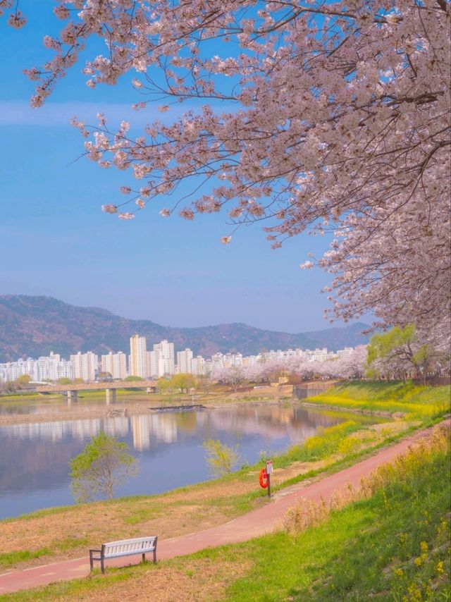 2023 국내 최대규모의 튤립정원 "순천만 국가정원"