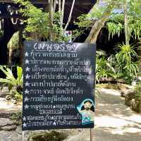 ทานข้าวกลางป่าใหญ่ ที่ร้านอาหารตำนานป่า ระยอง 🏕️