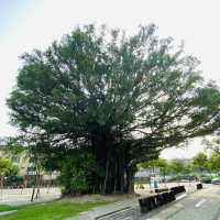 台糖生態湖 湧泉公園 (台糖湖濱生態園區)