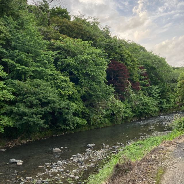 日帰り利用でもプチ旅行気分！気軽に行ける距離が魅力✨